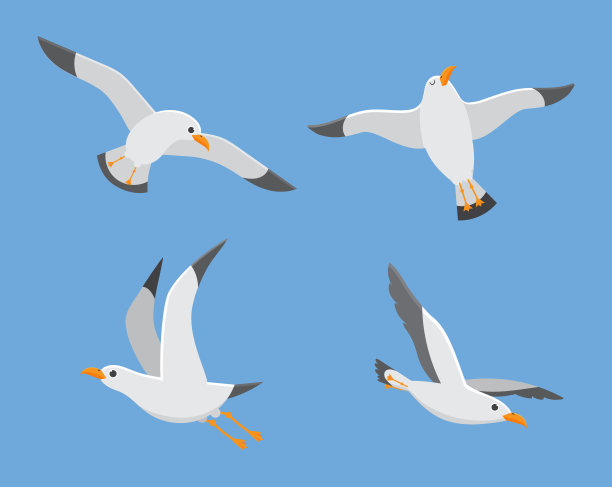 larus