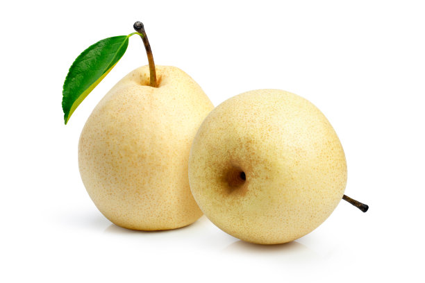 pyrus