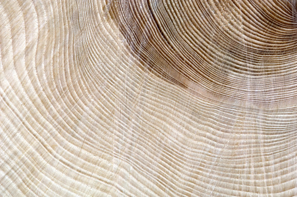 abstract