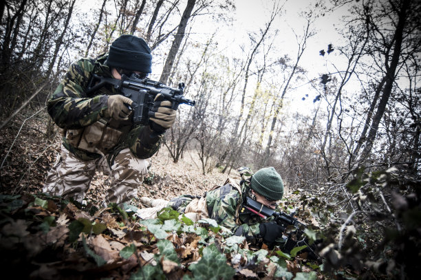 sas