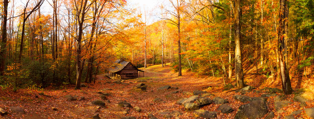cabins
