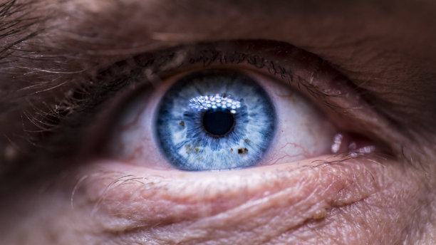 eye