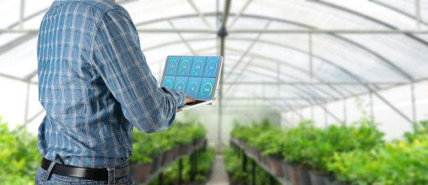 greenhouse