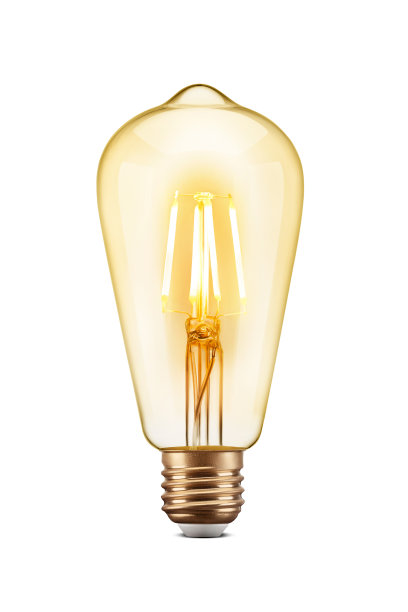 bulbs