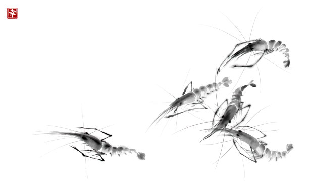 shrimp