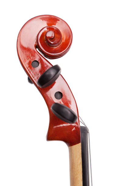 violin