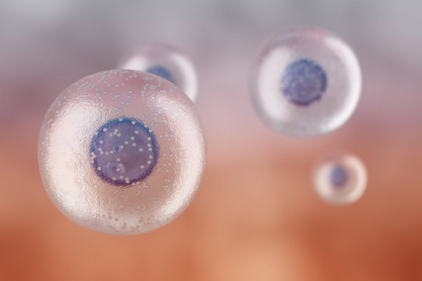 cells