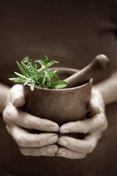 herbs