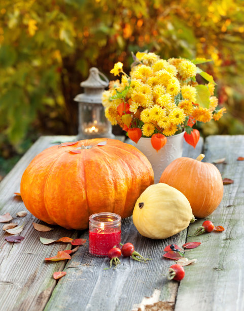 pumpkin