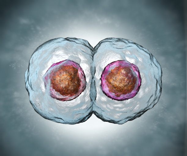 cells