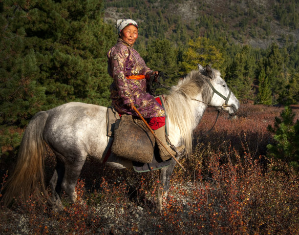 mongol