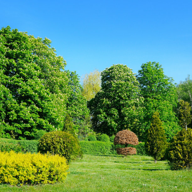 horticulture