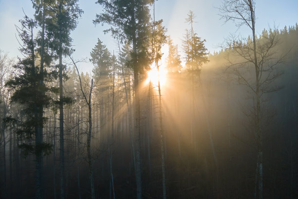 dawn