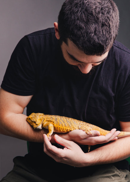 reptilia