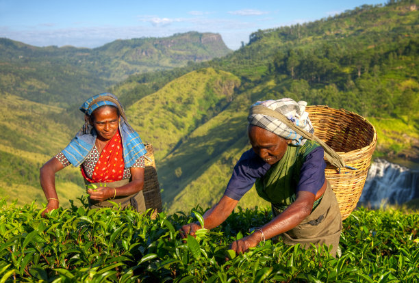 srilanka