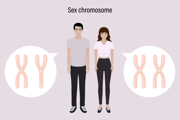 chromosone