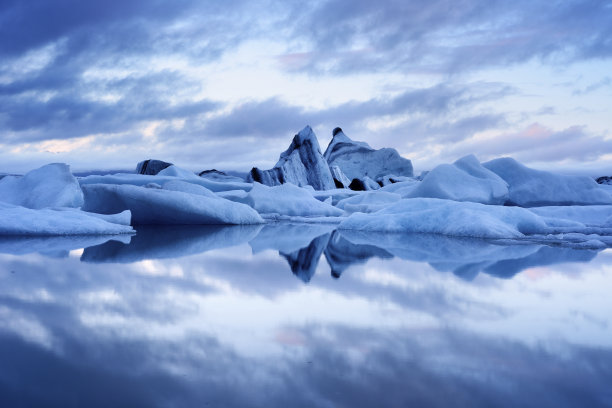 arctic