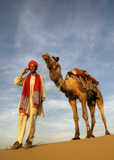 骆驼商旅