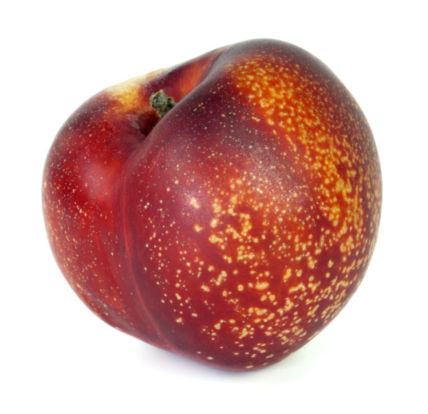 nectarine