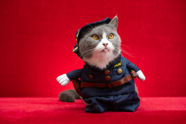 cosplay