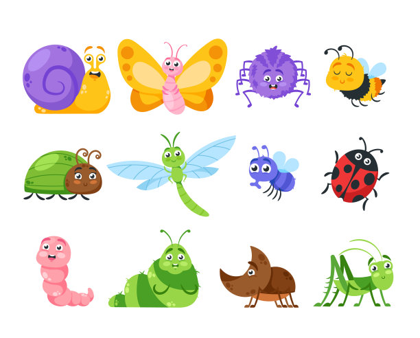 beetles
