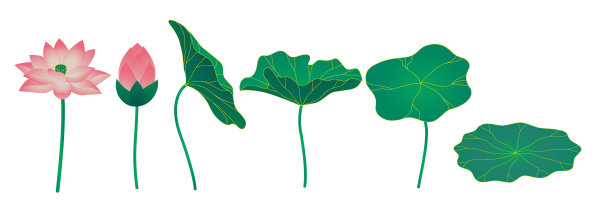 lotus