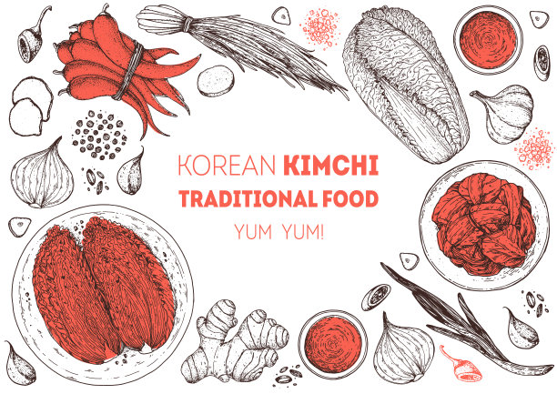 韩国泡菜,草图,东方食品