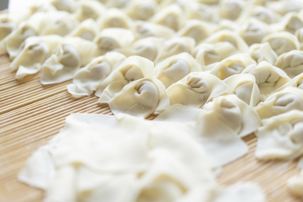 gyoza