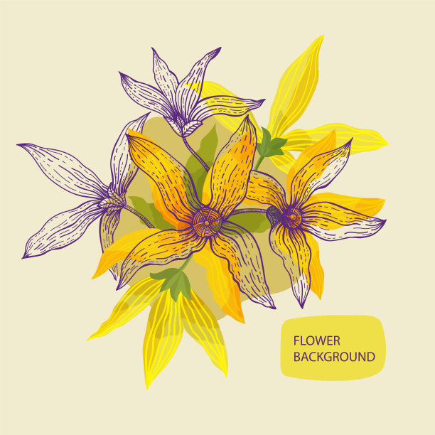 forsythia