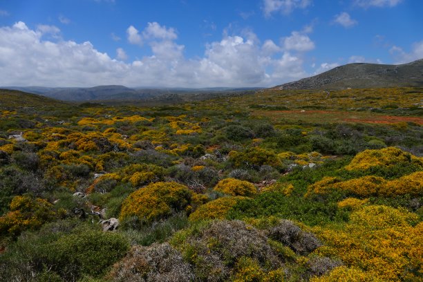 kythera