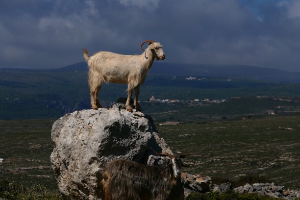 kythera