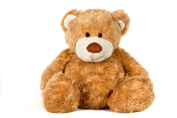 teddy