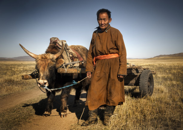 mongol