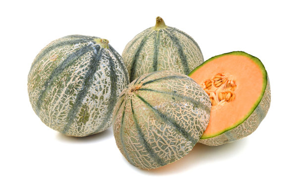 cantaloupe