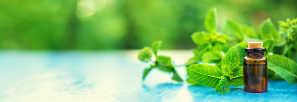 spearmint