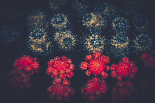 spiked
