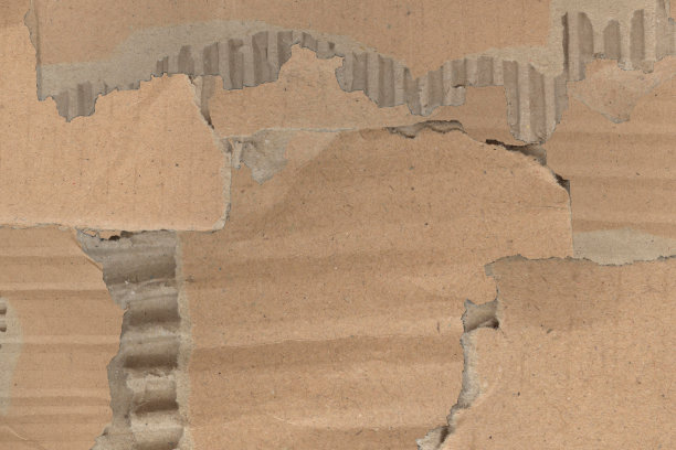 垃圾分类背景墙