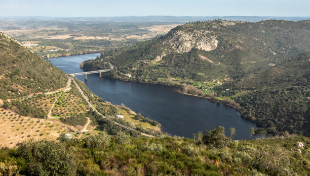 tagus