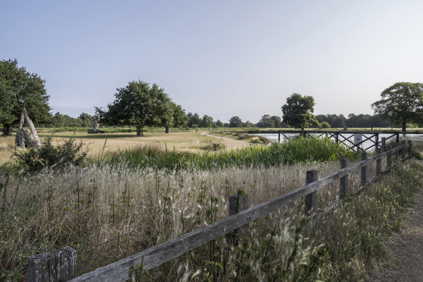 surrey