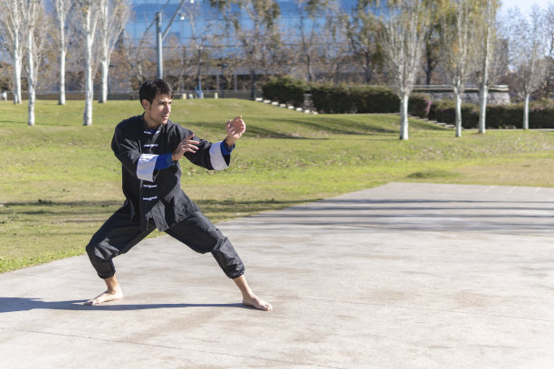 传统武术功夫表演