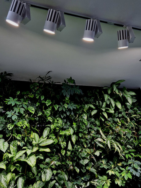 宾馆装饰植物墙