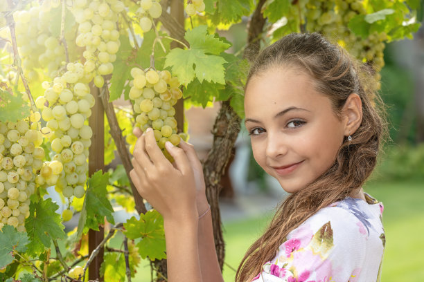 摘葡萄的少女
