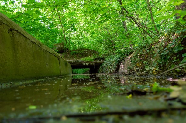 ditch