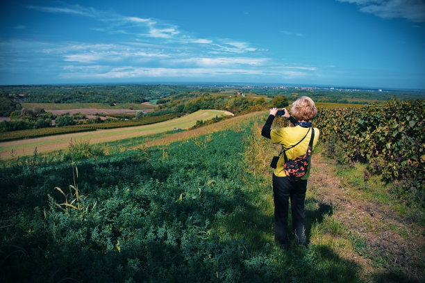 手持手机拍摄山间风景