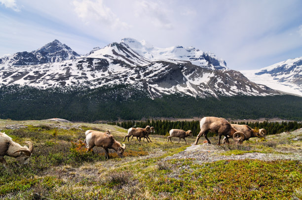 banff