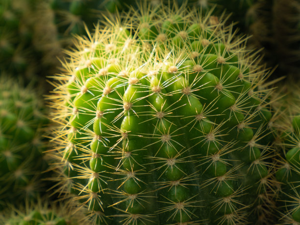 spiked