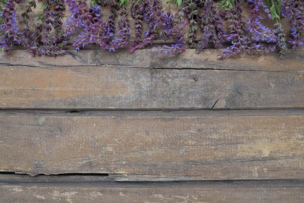 liatris