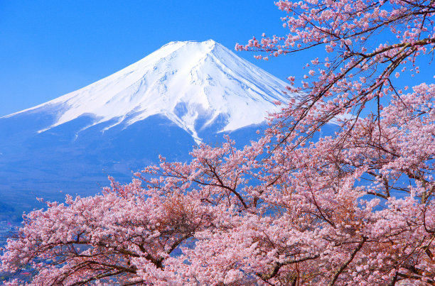 fuji