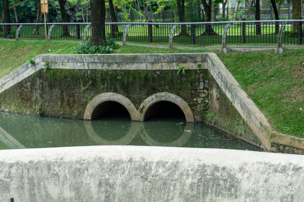 ditch