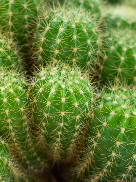 spiked